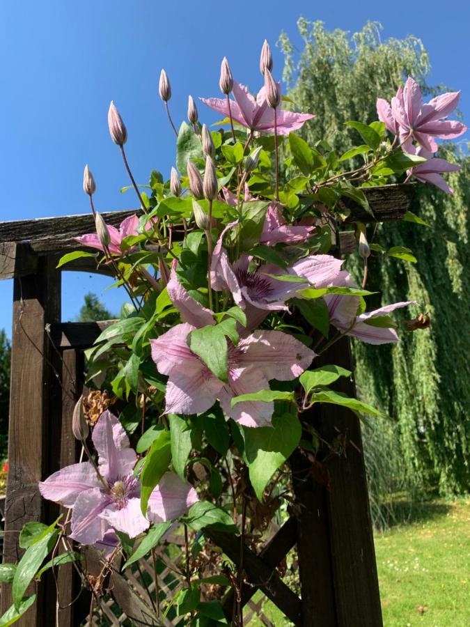 Bed and Breakfast Ker-Loen Val-Couesnon Exterior foto